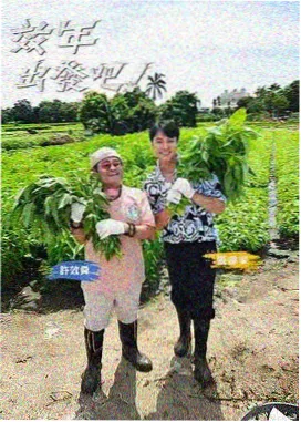 番茄影视 奔跑吧12